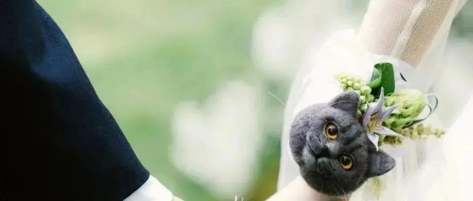 內卷不斷加??！行業(yè)迎“雙春年”結婚熱潮！